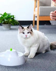 BEBEDERO FUENTE ELÉCTRICO PARA MASCOTAS – AGUA FRESCA Y FILTRADA EN TODO MOMENTO