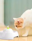 BEBEDERO FUENTE ELÉCTRICO PARA MASCOTAS – AGUA FRESCA Y FILTRADA EN TODO MOMENTO
