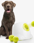 Pelotas de tenis para perro mediana/grande pack X6 – Rebote, diversión y resistencia