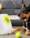 Lanzador automático de pelotas MAXI para perros medianos/grandes – Diversión interactiva y ejercicio sin límites