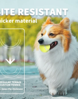 Pelotas de tenis para perro pack X6 – Rebote, diversión y resistencia