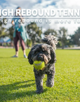 Pelotas de tenis para perro pack X6 – Rebote, diversión y resistencia