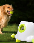 Lanzador automático de pelotas MAXI para perros medianos/grandes – Diversión interactiva y ejercicio sin límites