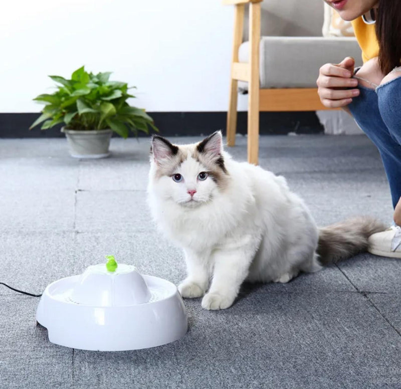 FUENTE DE AGUA PARA MASCOTAS REVISAR#BLANCO CON VERDE