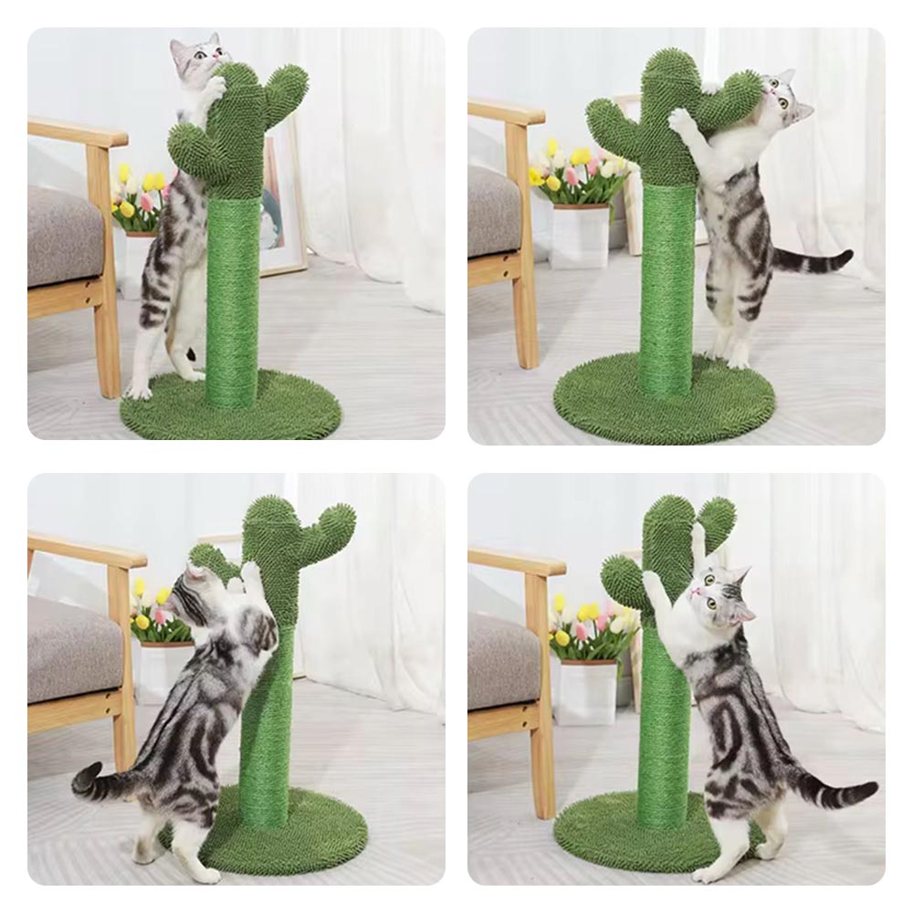 RASCADOR PARA GATOS CACTUS – DISEÑO ÚNICO EN SISAL PARA RASCAR Y JUGAR