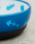 Bowl plato comedero/bebedero para gato AFP