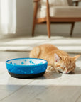 Bowl plato comedero/bebedero para gato AFP