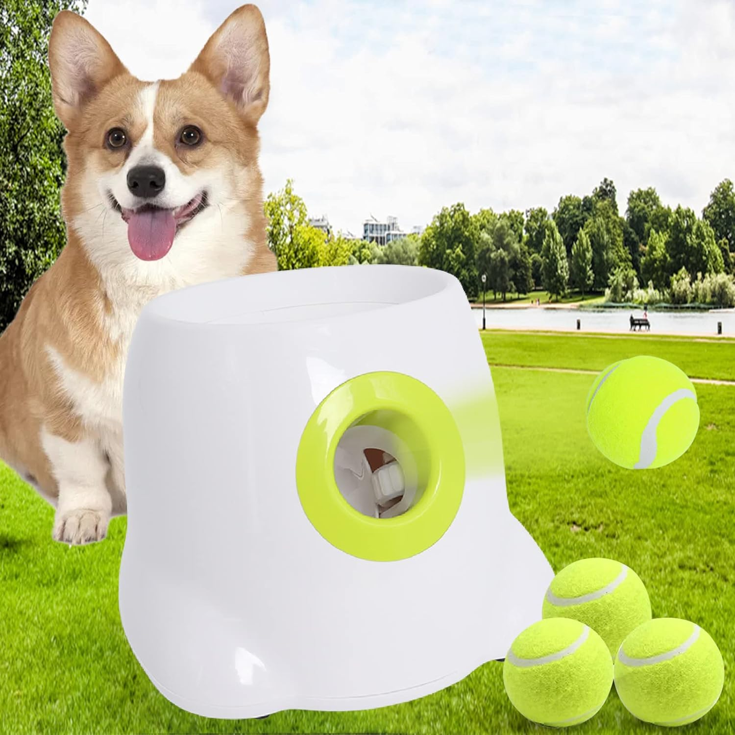 Pelotas de tenis para perro pack X6 – Rebote, diversión y resistencia