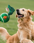 Juguete para perro Pato Pelota con sonido – Diversión y estímulo garantizado