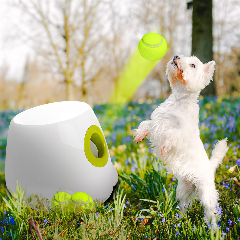 Lanzador automático de pelotas MINI para perros pequeños/medianos – Diversión interactiva y ejercicio sin límites