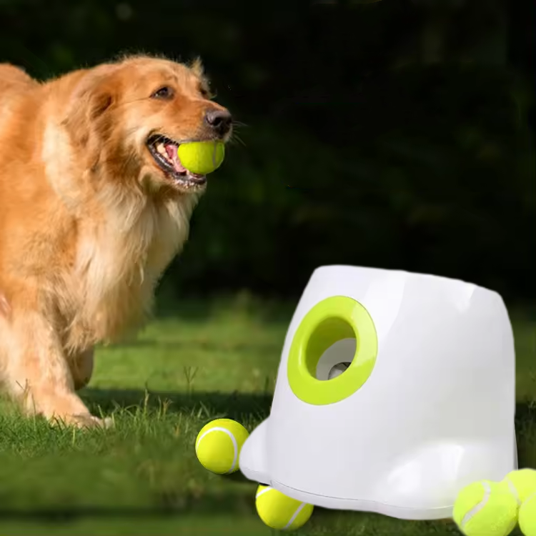Lanzador automático de pelotas MAXI para perros medianos/grandes – Diversión interactiva y ejercicio sin límites